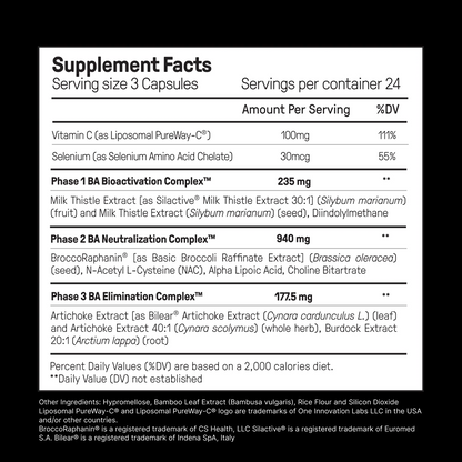 The Dream Body Stack