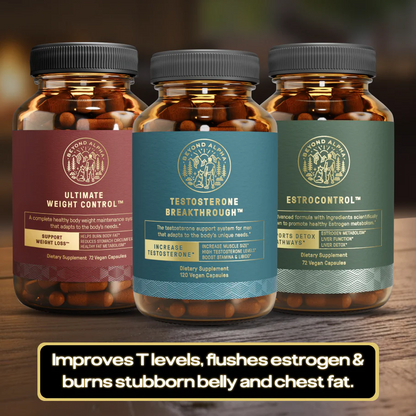 The Dream Body Stack