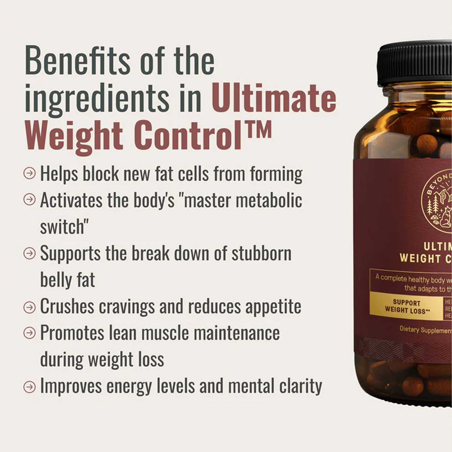 The Dream Body Stack