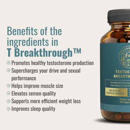 The Dream Body Stack